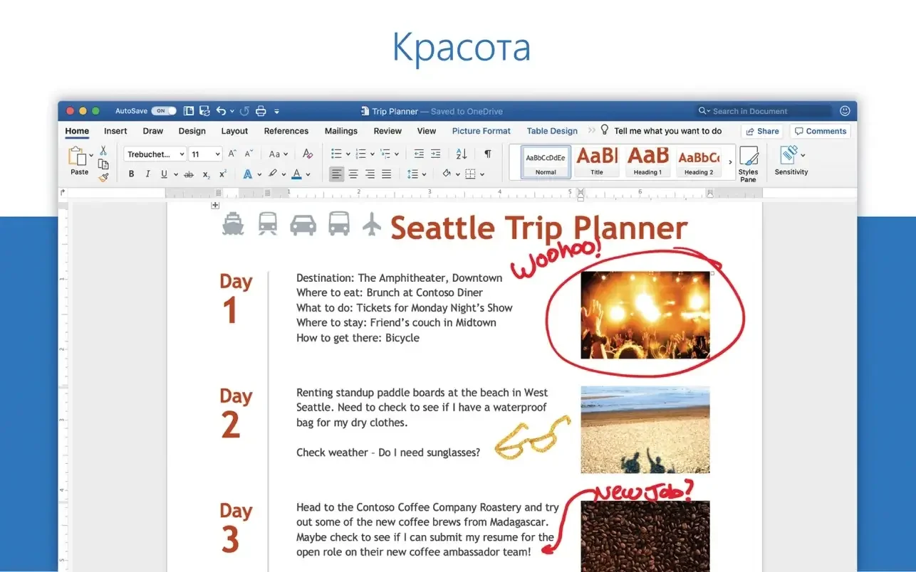 microsoft office 2024 download torrent